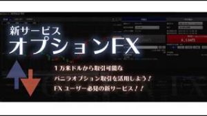 SBI FXトレード 　オプションFX　プットオプションと反対売買決済について