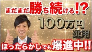 いつまで勝ち続ける!?初心者でもロット数や手動ストップができれば誰でも簡単に稼げる!!連勝記録更新中のほったらかしツール【元金100万円で稼働中 FX自動売買ツール】