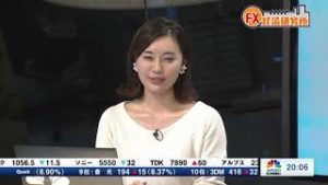 2018年12月19日放送　日経CNBC　『FX経済研究所』