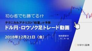 目指す値は110.24【181221ドル円・ロウソク足トレード動画】FX予想
