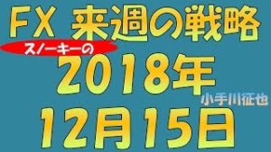 FX スノーキー(小手川征也)の来週の戦略 2018年12月15日