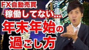 FX自動売買 リスクヘッジ続行中！年末年始の過ごし方で他の人と差をつけるには【ツール検証 元金100万円&10万円口座 只今手動ストップ中】