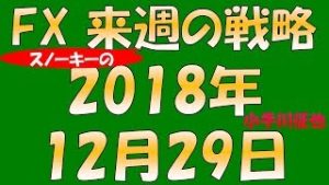 リセッション？米国の経済指標悪化 FX スノーキー(小手川征也)の来週の戦略 2018年12月29日
