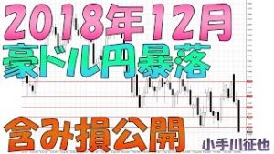 2018年12月 リピート系FX 豪ドル円暴落＆カナダドル円急落 含み損公開