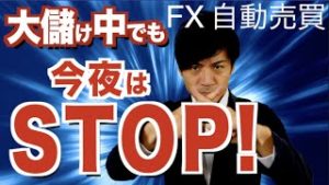 100万突っ込んで大儲け中のFX自動売買は年末に落とし穴がある!?【FX自動売買ツール検証】