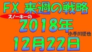 日経平均株価もNYダウも年初来安値 FX スノーキー(小手川征也)の来週の戦略 2018年12月22日