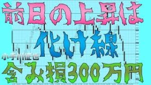 含み損300万円に 2018年12月28日 前日の上昇はやっぱり化け線