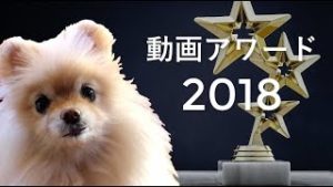 【保存版】迷晴れ動画アワード2018