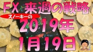 ダボス会議は無風通過？ FX スノーキー(小手川征也)の来週の戦略 2019年1月19日