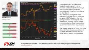 Forex News: 23/01/2019 – Yen pulls back as risk-off eases; kiwi jumps on inflation beat