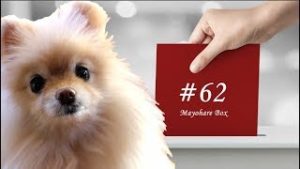 【迷晴れボックス#62】逆境は人を最強にも最弱にもする。