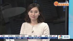 2019年1月15日放送　日経CNBC　『FX経済研究所』