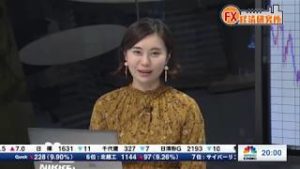 2019年1月30日放送　日経CNBC　『FX経済研究所』