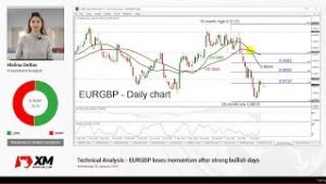 Technical Analysis: 30/01/2019 – EURGBP loses momentum after strong bullish days