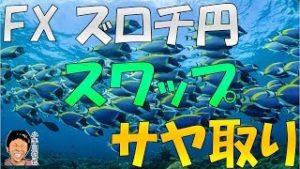 FX ズロチ円 ユーロ円 スワップ サヤ取り