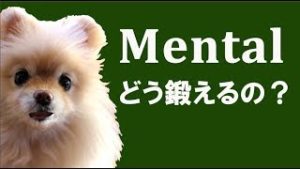 メンタルってどう鍛えるの？