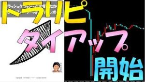 トラリピ(マネースクエア) タイアップ開始 フラッシュクラッシュ後に書いたレポート