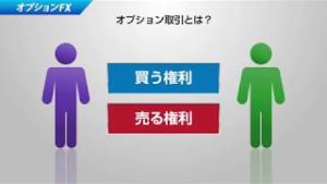オプションFX