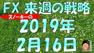 豪ドルNZドルコアレンジャー大丈夫？FX スノーキー(小手川征也)の来週の戦略 2019年2月16日