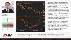 Forex News: 08/02/2019 – Trade and growth jitters hit sentiment; loonie eyes jobs data
