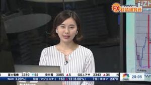 2019年2月5日放送　日経CNBC　『FX経済研究所』