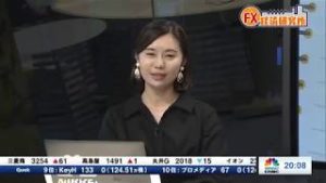 2019年2月20日放送　日経CNBC　『FX経済研究所』