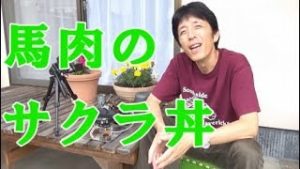 馬肉でサクラ丼を作ってみた＾＾