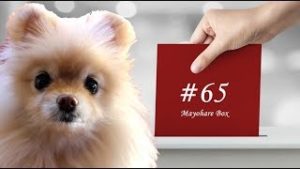 【迷ボ#65】ブルベア睨み合い相場では躊躇するほど勝率が落ちる。