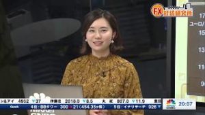 2019年2月22日放送　日経CNBC　『FX経済研究所』