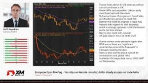 Forex News: 19/02/2019 – Yen slips on Kuroda remarks; dollar steady as eyes on trade talks
