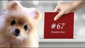 【迷ボ#67】相場観とはガイアの目線である。
