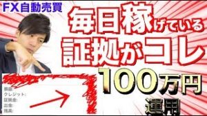 FX自動売買ツールを運用してマイナスは滅多にない!?たとえ超初心者でも大損しないで安定した副収入！【元金100万円&10万円口座検証】