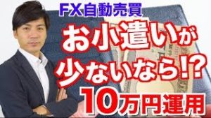 FX自動売買 お小遣いが少ないと感じたなら即運用！低資金投資ならオススメはツールを使った副収入！【元金10万円&100万円口座 ソフト検証】
