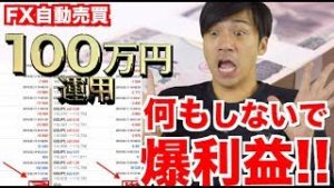 12日分のバイト代をたった1日で稼ぐ自動売買ツール!! 初心者でも何もしないで副収入！FX検証ランキング第１位【元金100万円&10万円口座】