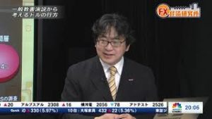 2019年2月7日放送　日経CNBC　『FX経済研究所』