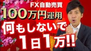 FX自動売買ツール ほったらかしなのに1日1万稼げる！副業初心者には嬉しいお小遣いと言う名の副収入！【元金100万円&10万円口座 ソフト検証】