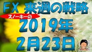 高金利通貨スワップ狙いがいい？FX スノーキー(小手川征也)の来週の戦略 2019年2月23日