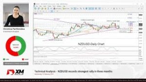 Technical Analysis: 13/02/2019 – NZDUSD records strongest rally in three months