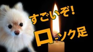 最強のテクニカルツール、ローソク足から得られる３つの重要サイン。