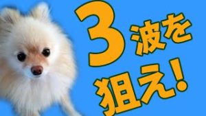 FX エリオット波動とは波のリズム、優位性の高い３波目を狙う。