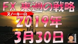 逆イールド現象での混乱は収束？ FX スノーキー(小手川征也)の来週の戦略 2019年3月30日