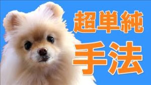 FX　超絶シンプル！ 聖杯探しに疲れた人のための １時間足ゆったりトレード手法。
