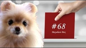 【迷ボ#68】波の転換シーンには真逆の２解釈が存在する！