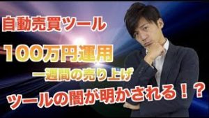 FX自動売買ツール 取引単位とは別にポジションが入っていた!?【100万&10万円口座】