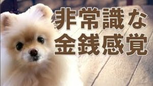 FX（為替）勝てるだけじゃダメ？稼げるトレーダーの非常識な金銭感覚。