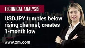 Technical Analysis: 21/03/2019 – USDJPY tumbles below rising channel; creates 1-month low