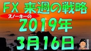 FX スノーキー(小手川征也)の来週の戦略 2019年3月16日