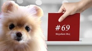 【迷ボ#69】本物の聖杯は地味で目立たない