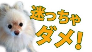 ダウ理論の核心、目線が決まれば心が決まる。