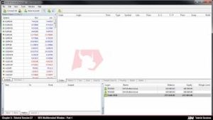 XM.COM – MT4 Tutorials – MT4 Multiterminal Window – Basics